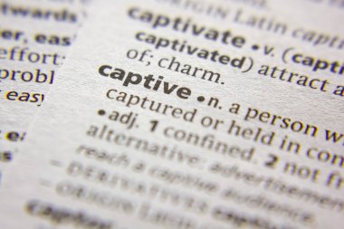 Sözlükte Tutsak Sözcük veya tümcecik.