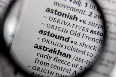 Sözlükte bulunan sözcük veya tümcecik.