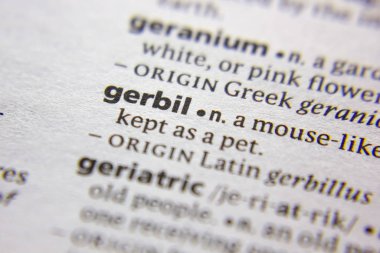 Sözlükte Kelime veya ifade Gerbil.
