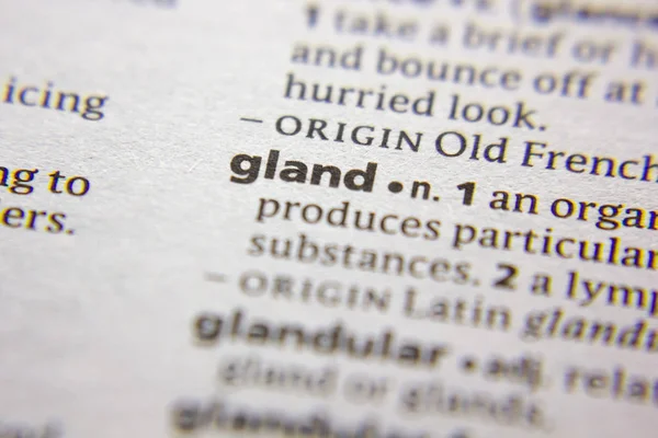 Sözlükteki sözcük veya tümcecik Bezi.