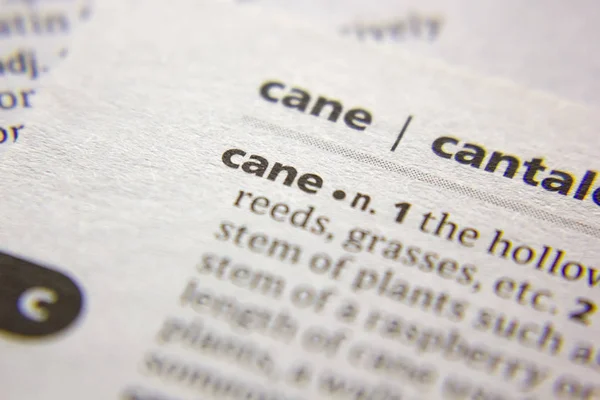 Word or phrase Cane in a dictionary. — Stock Photo, Image