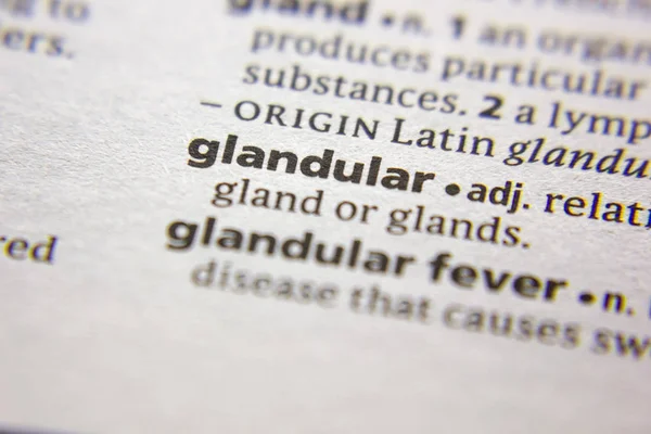Sözlükte Glandular sözcüğü veya tümceciği.