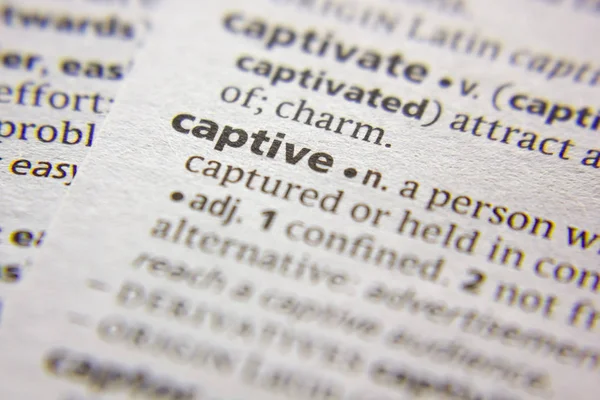 Sözlükte Tutsak Sözcük veya tümcecik.