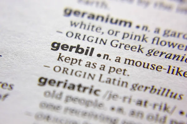 Sözlükte Kelime veya ifade Gerbil.