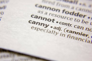 Sözlükte Kelime veya ifade Canny.