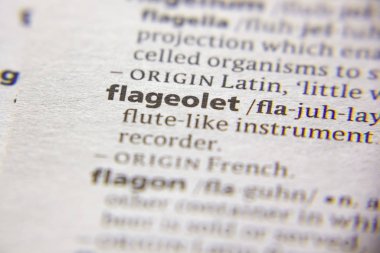 Sözlükte Flageolet sözcüğü veya tümceciği.