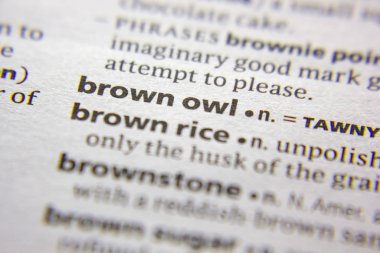 Sözlükte kelime veya ifade Kahverengi baykuş.