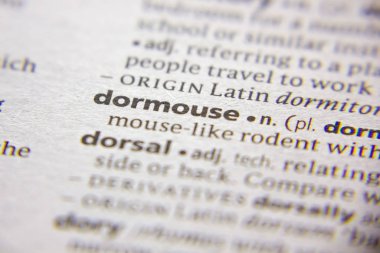 Sözlükteki Dormouse sözcüğü veya tümceciği.