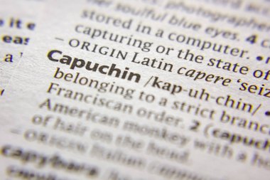 Sözlükte Word veya ifade Capuchin.