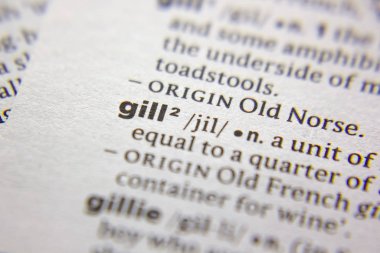 Kelime veya cümle Gill bir sözlük.