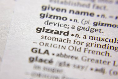 Sözlükte Kelime veya ifade Gizzard.