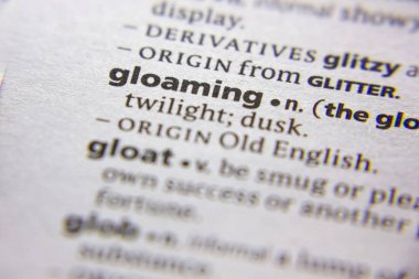 Sözlükte Gloaming sözcüğü veya tümceci.