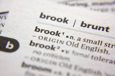 Sözlükte Brook sözcüğü veya tümceciği.