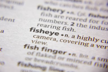 Sözlükte Sözcük veya ifade Fisheye.