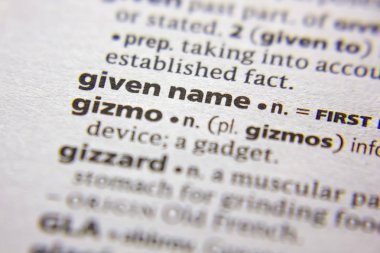 Sözlükte verilen ad veya sözcük.