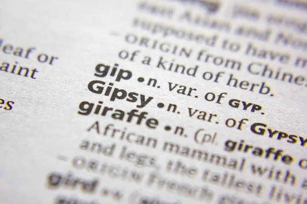 Ord eller fras Gipsy i en ordbok. — Stockfoto