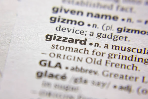 Sözlükte Kelime veya ifade Gizzard.