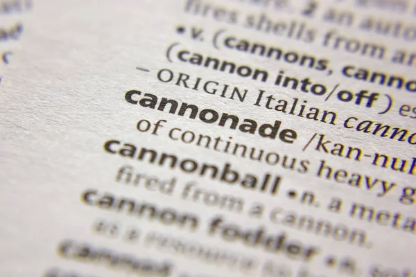 Sözlükte Word veya ifade Cannonade.