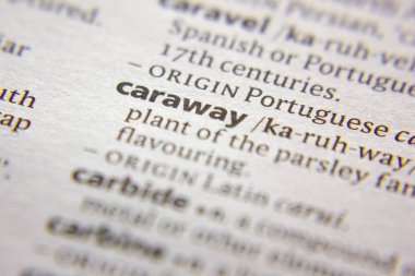 Sözlükteki sözcük veya tümcecik Caraway.