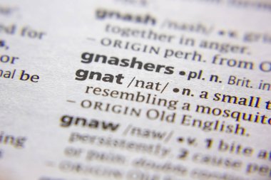 Sözlük içinde kelime veya cümle Gnat.