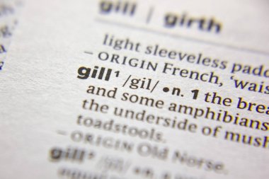 Kelime veya cümle Gill bir sözlük.