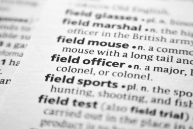 Sözlükte sözcük veya tümcecik Alan subayı.