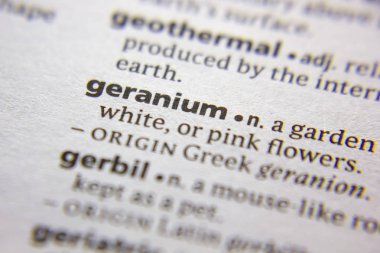 Sözlükte sözcük veya tümcecik Sardunya.