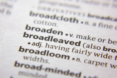 Sözcük veya ifade bir sözlükte Broadleaved.