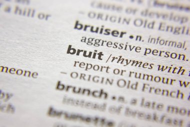 Kelime veya cümle bir sözlükte bruit.