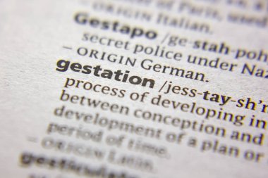 Sözlükte Sözcük veya tümcecik Gebelik.