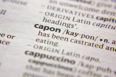 Sözlük içinde Word veya tümcecik capon.