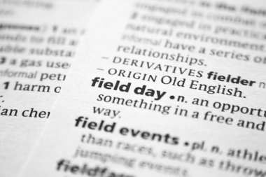 Sözlükte Word veya tümcecik Alan günü.