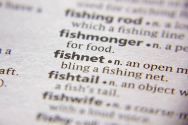 Sözlükteki sözcük veya tümcecik Fishnet.