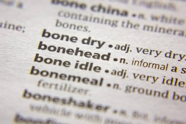 Kelime veya cümle Bonehead bir sözlük.