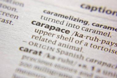 Kelime veya cümle Carapace bir sözlük.