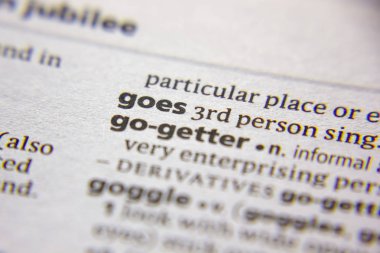 Kelime veya cümle bir sözlüğe gider.