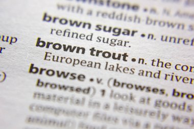 Kelime veya cümle bir sözlük Brown alabalıkla.