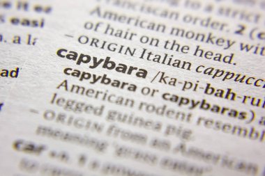 Sözlükte Capybara sözcüğü veya tümceciği.