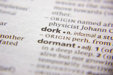 Kelime veya cümle dork bir sözlük.