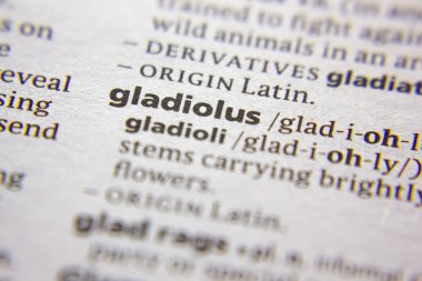 Sözlükte Gladiolus sözcüğü veya deyimi.