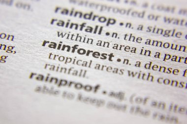 Sözlükte Yağmur Ormanı sözcüğü veya tümceciği.