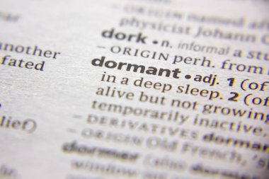 Sözlükte Atıl olan sözcük veya tümcecik.