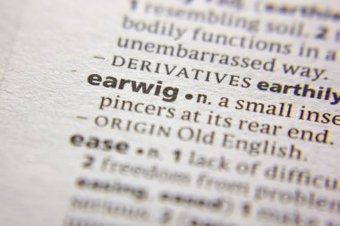 Sözlükte kelime veya cümle Earwig.