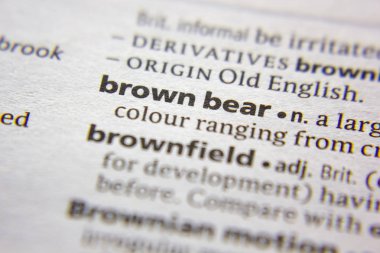 Sözlükte kahverengi ayı sözcüğü veya tümceciği.