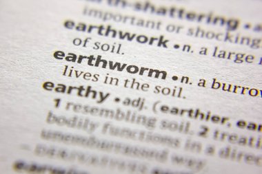 Sözlükteki sözcük veya tümcecik Earthworm.