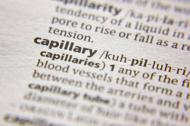 Sözlükteki sözcük veya tümcecik Kapiller.
