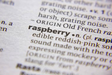 Sözlükte Kelime veya deyim Ahududu.