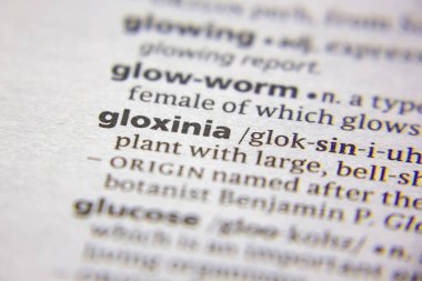Sözlükte gloxinia sözcüğü veya tümceciği.