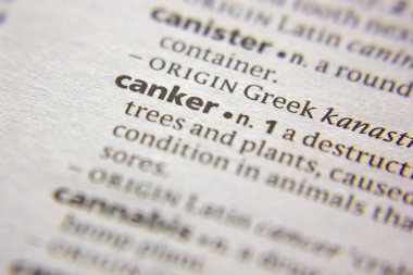 Sözlükte Kelime veya ifade Canker.