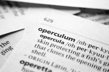 Sözlükte Operculum sözcüğü veya tümceciği.